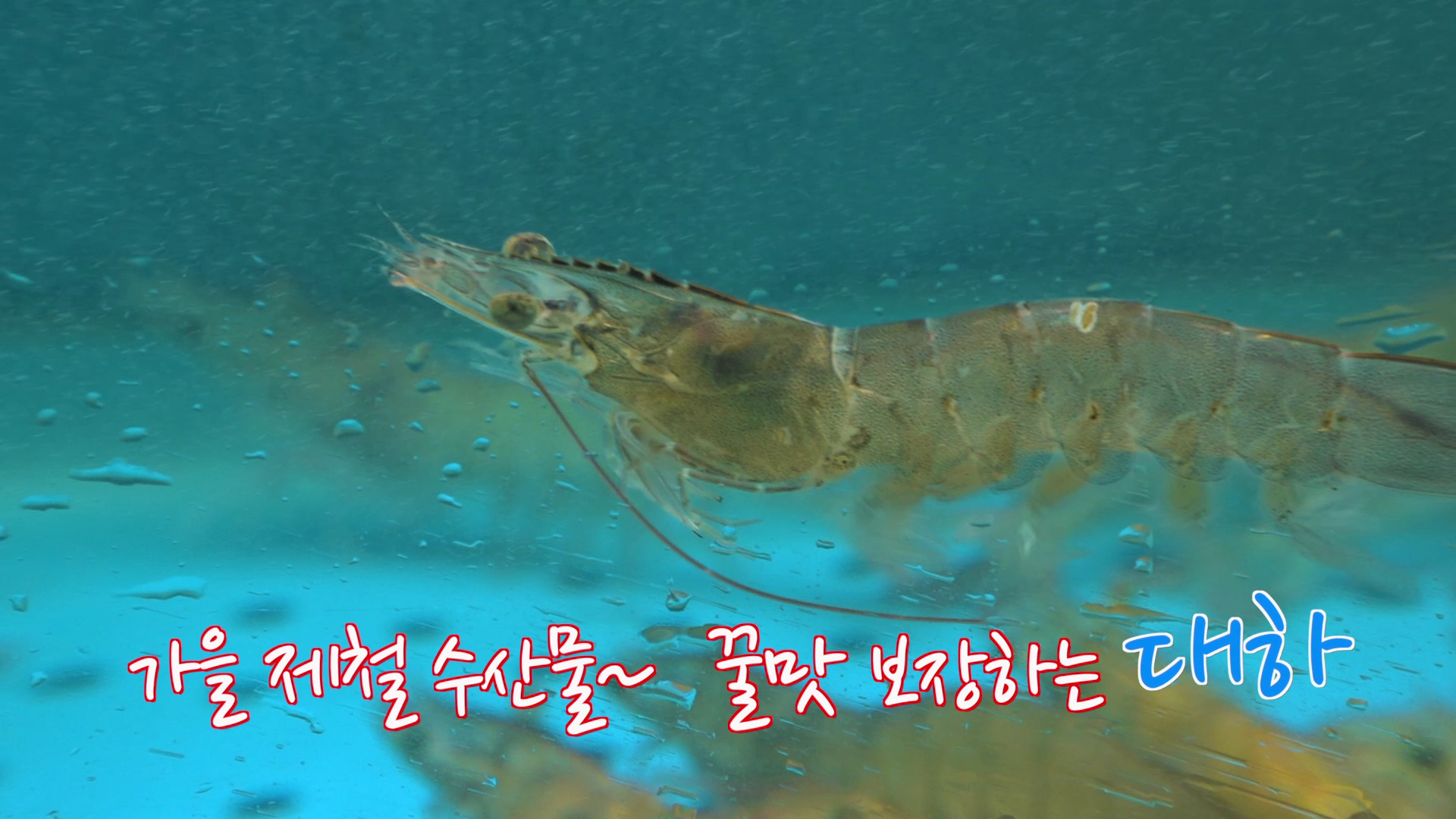 대하구이